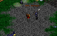 Ultima VIII: Pagan