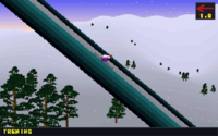 Deluxe Ski Jump 2 PL