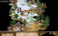 Age of Empires II Gold Edition PL