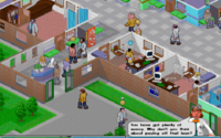 Theme Hospital