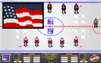 NHL Hockey 95