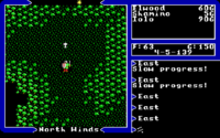 Ultima V: Warriors of Destiny