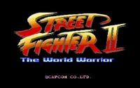 Street Fighter II: The World Warrior