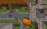 Ultima VII: The Black Gate & The Forge of Virtue