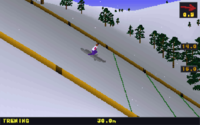 Deluxe Ski Jump 2 PL