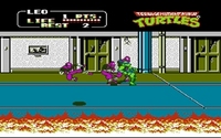 Teenage Mutant Ninja Turtles II: The Arcade Game