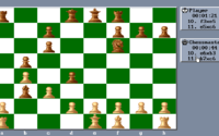 Chessmaster 3000