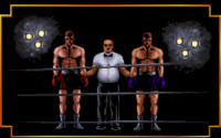 3D World Boxing