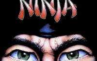 Last Ninja (The)
