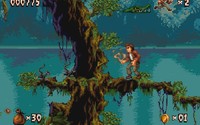 Pitfall: The Mayan Adventure