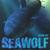 SSN-21 Seawolf CD